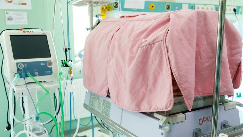      Фото: ИА «Победа26»