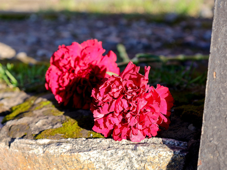     ФОТО: Elena Mayorova/ Global look press