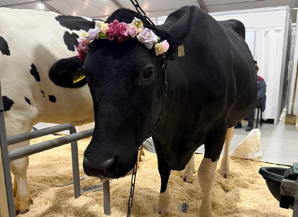 фото: ЗАО «Калининское»