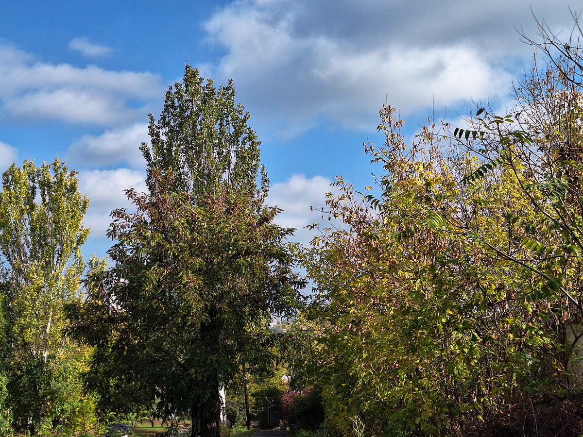 Фото  автора.