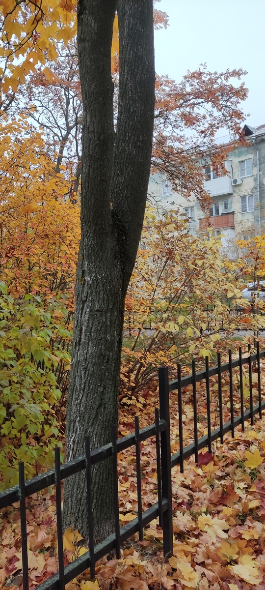 Кое-где ещё красиво)