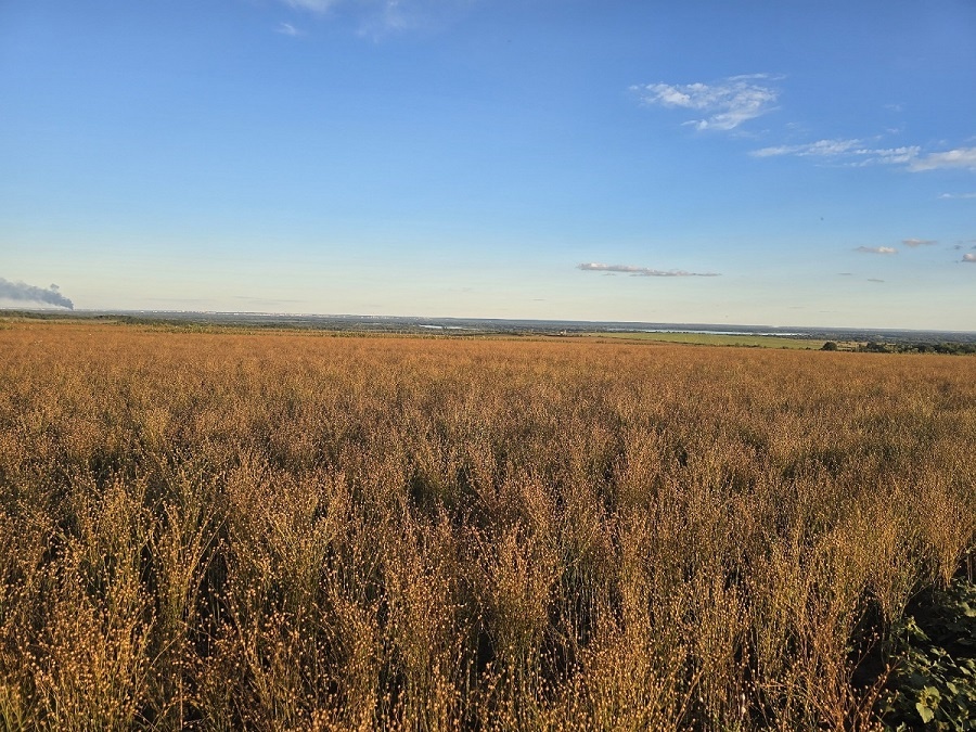    Глубокие слова Омара Хайяма про сплетни, про бедность, про мужчин и женщин - смотрять в самую суть