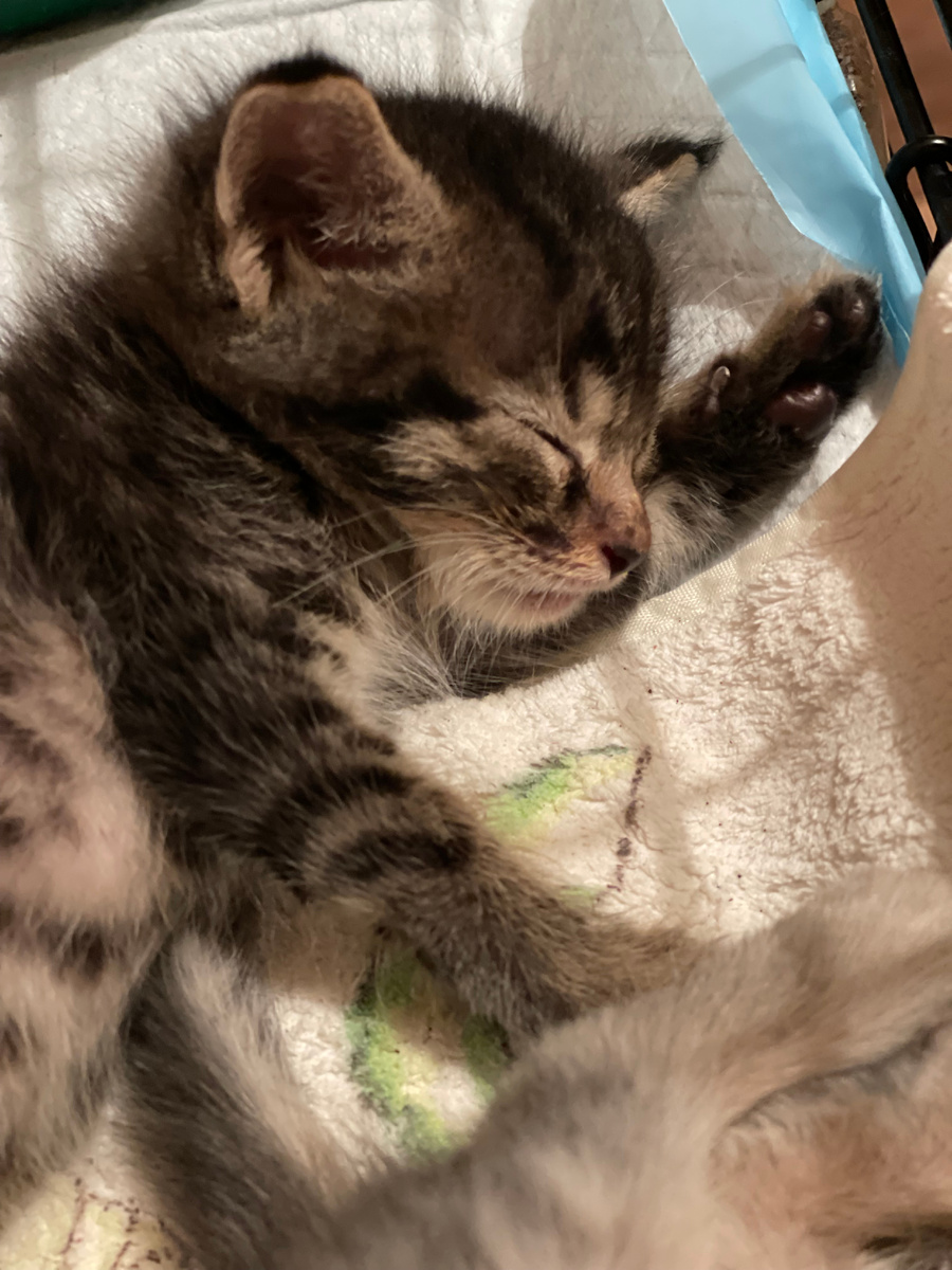 В безопасности 