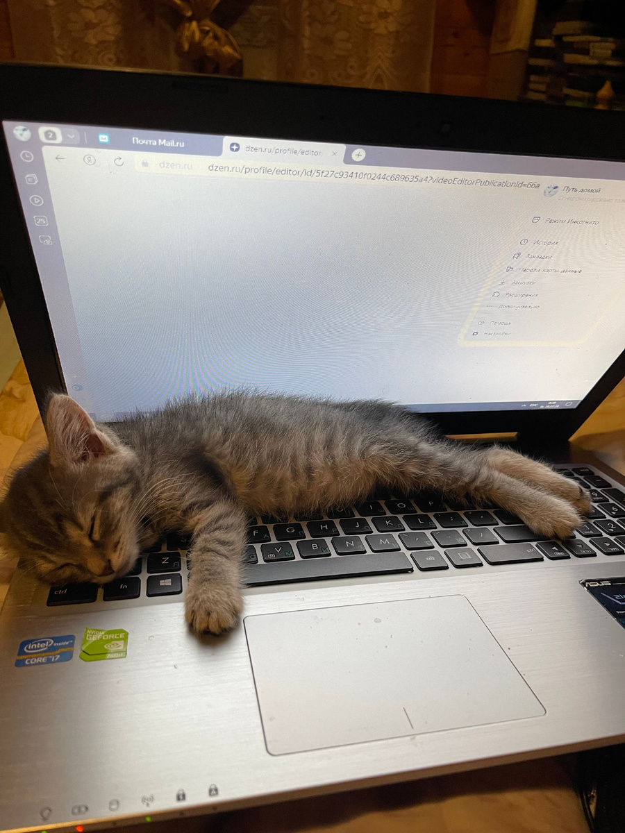 Помогаю временной маме работать