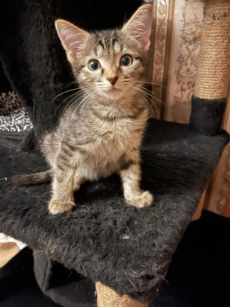 Как это она уже уехала? А я почему нет?