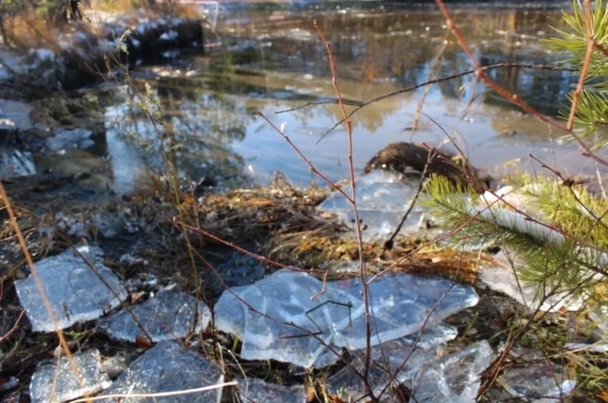    Синоптики рассказали, когда на Среднем Урале закончатся дождь и мокрый снег