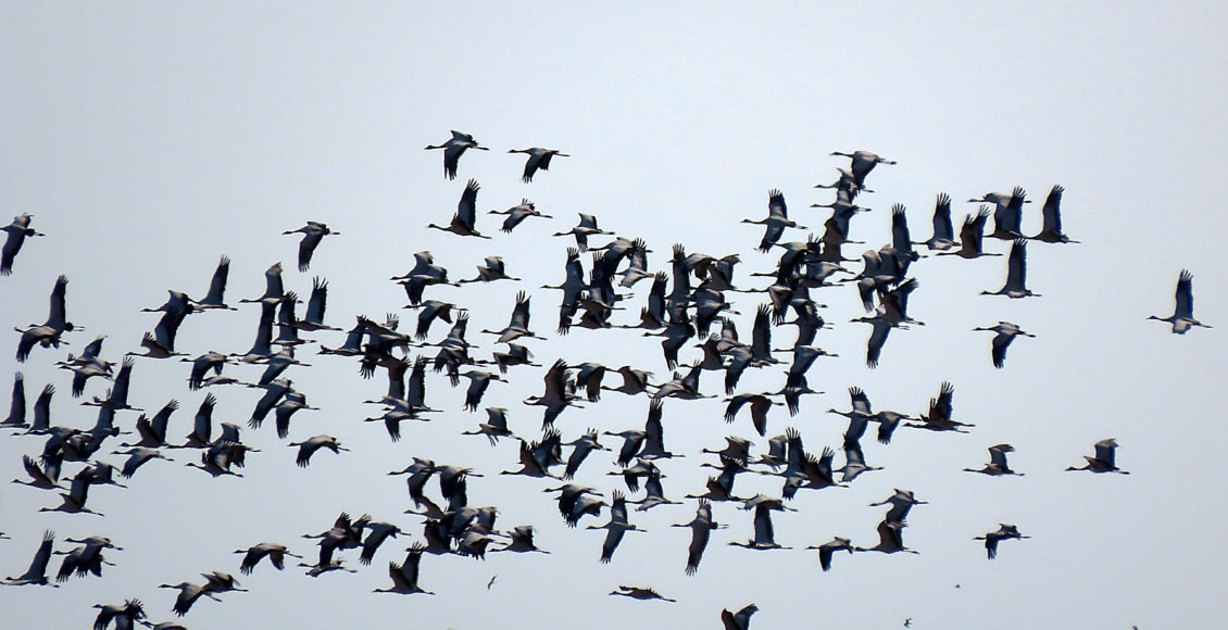    Фото: © Елена Ильяшенко