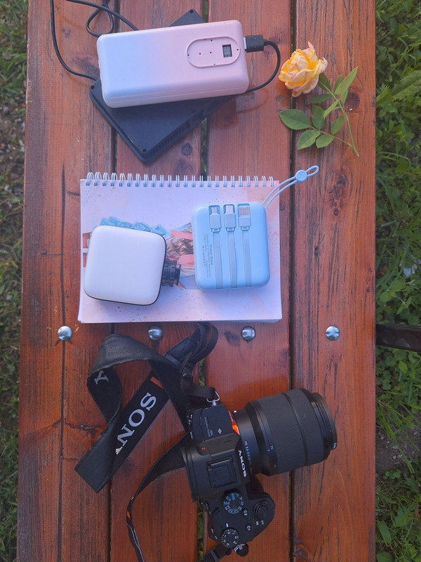 Натюрморт (за кадром "Красоты в глазах смотрящего", июль 2025)