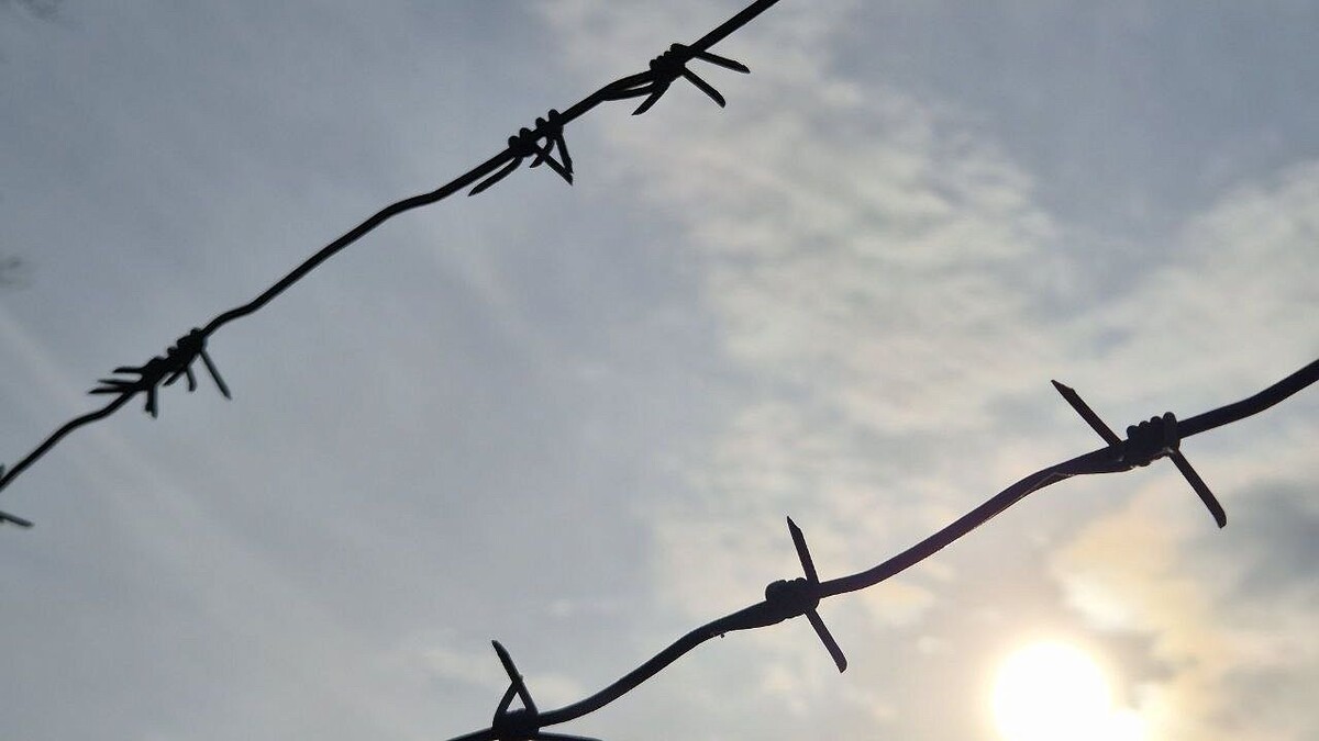    Фото: телеканал «Краснодар»