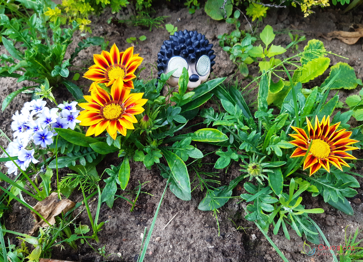 Фото из личного архива автора