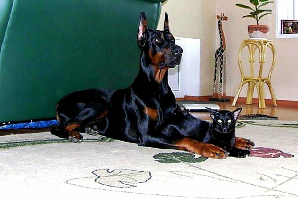 Фото из открытых источников