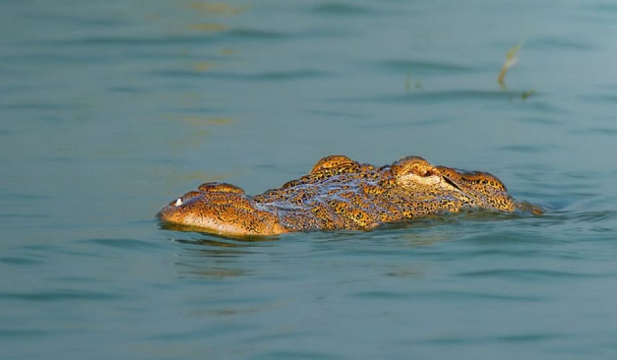 Фото: новостное агентство Asia News Network