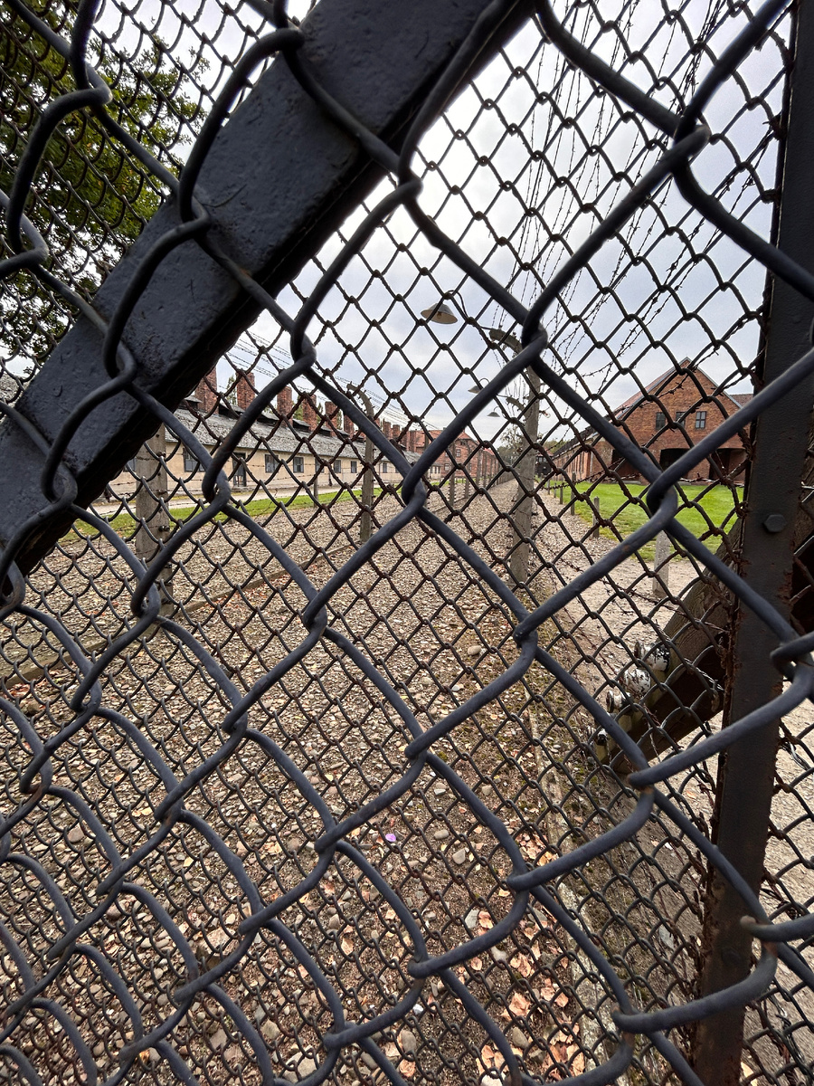 Колючая проволока везде