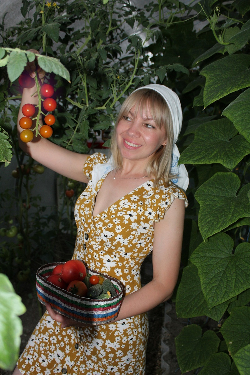 В своей тепличке, как бы это странно ни звучало, я заряжаюсь энергией