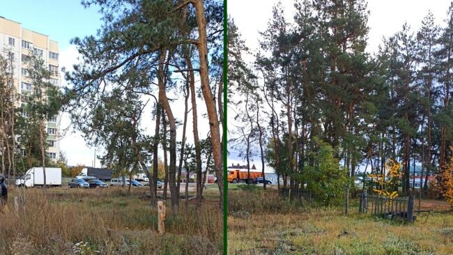    Фото: читатель «МОЁ!»