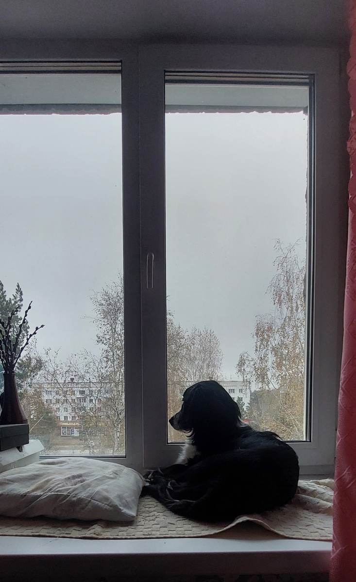 Мой пункт наблюдения 