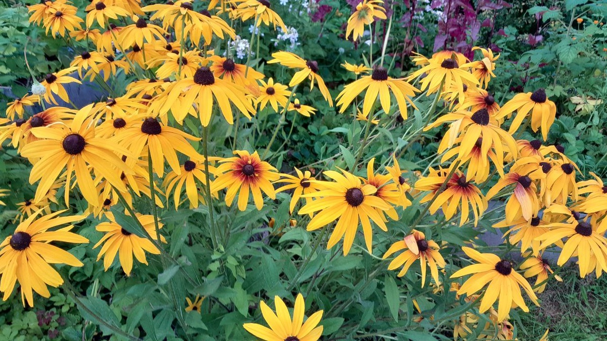 А была бы на пенсии, нюхала бы цветочки