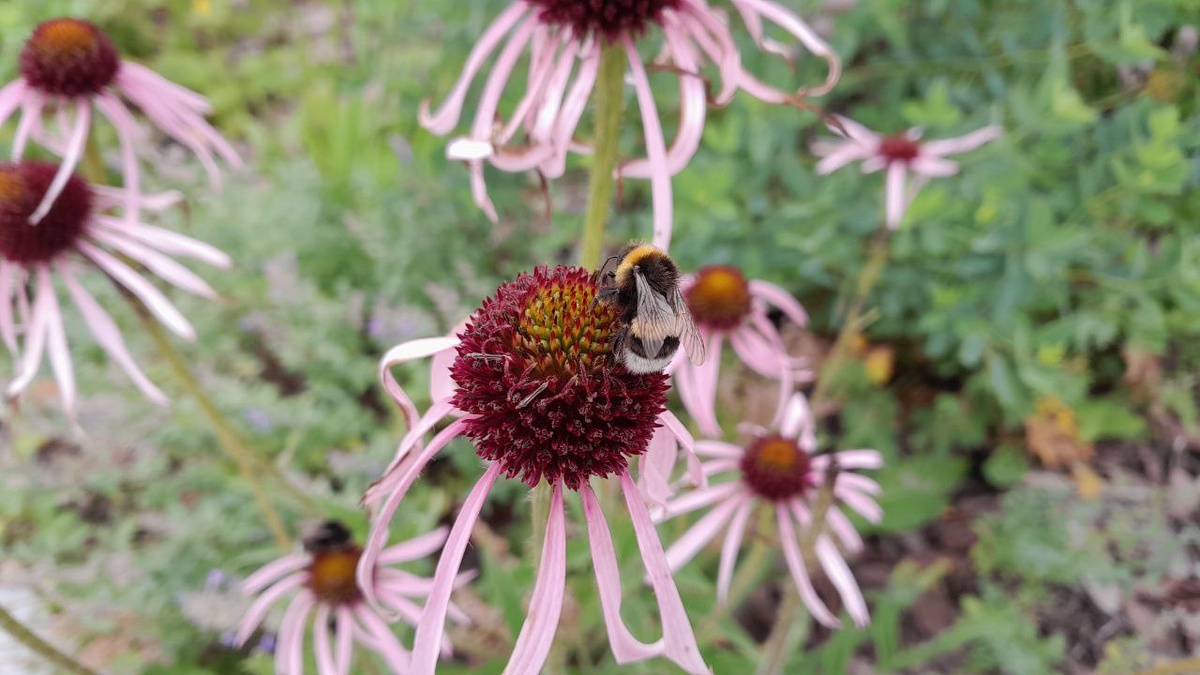И сейчас продолжаю трудиться, но силы уже не те