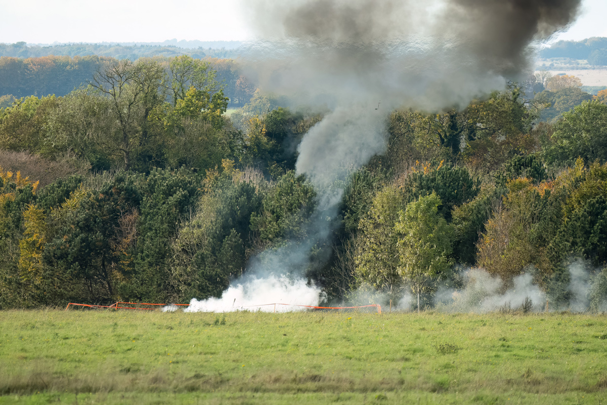    Фото: Martin Hibberd / Shutterstock.com