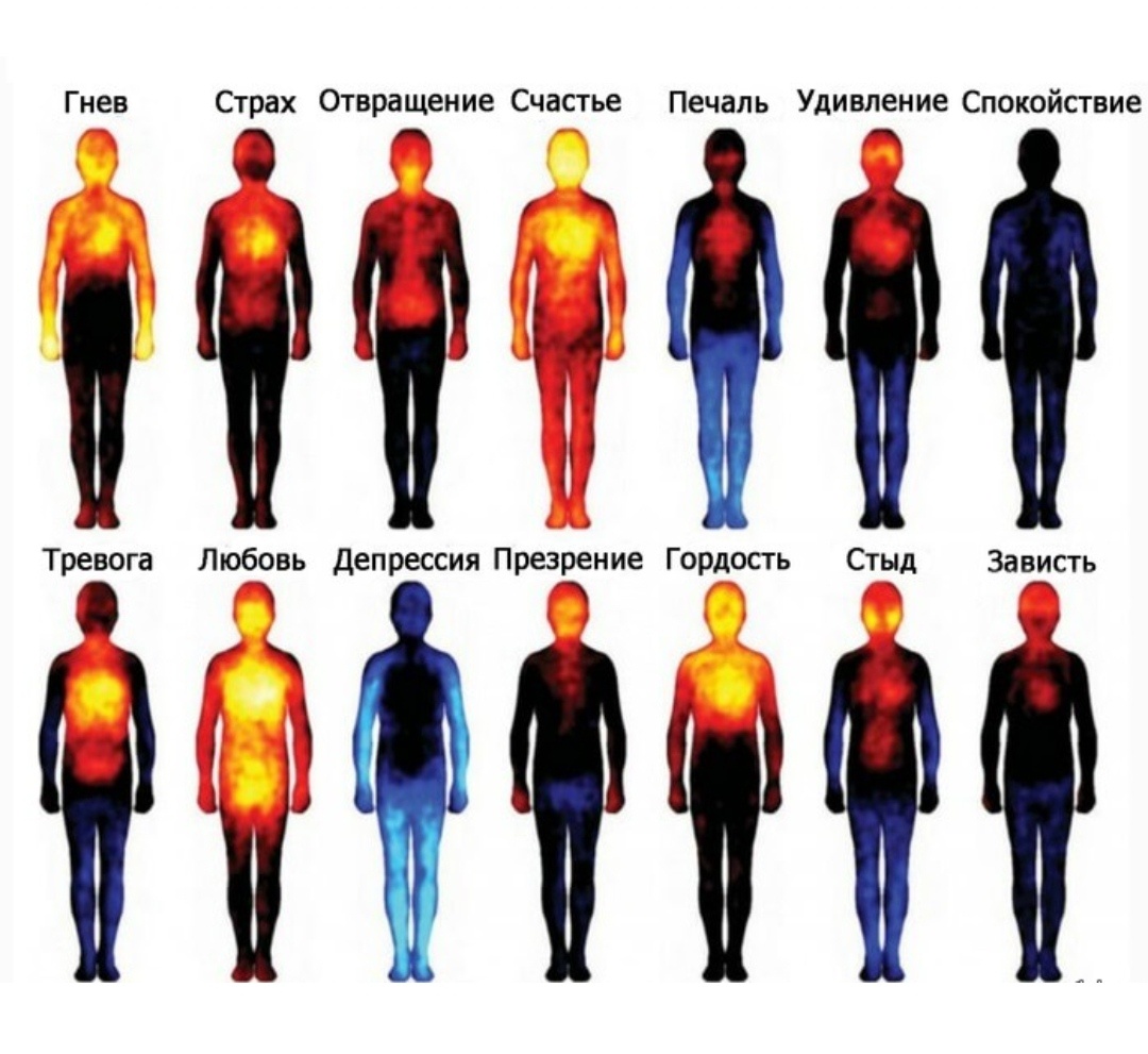 Изменение чувствительности тела в зависимости от переживаемых эмоций. Финское исследование, 2016 год. Ощущения выражены сильнее - красный цвет. Менее сильные - жёлтый. Притуплены - синий. 