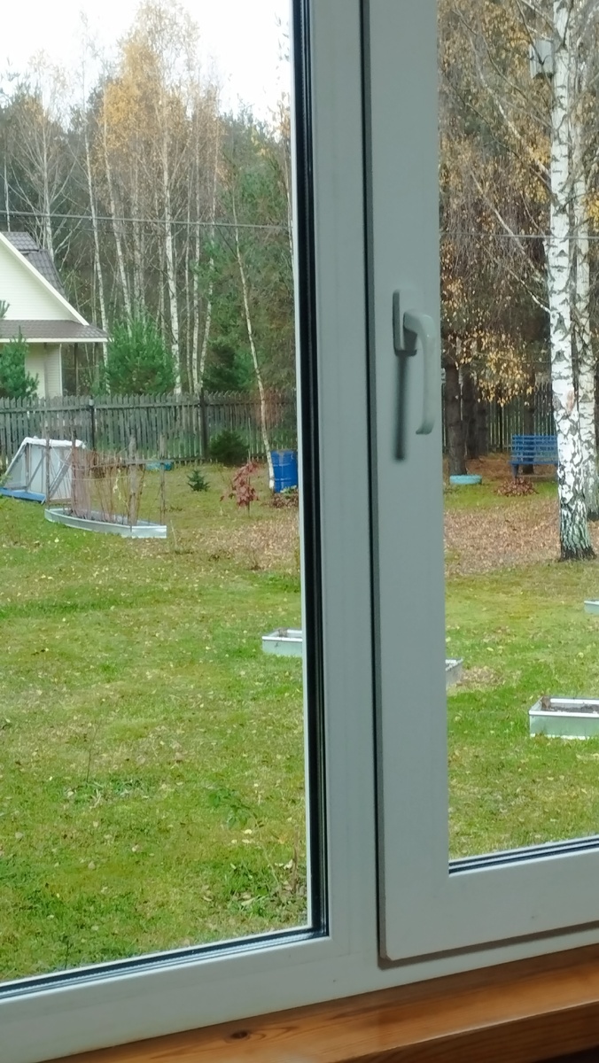 Трава ещё зелёная за окном.