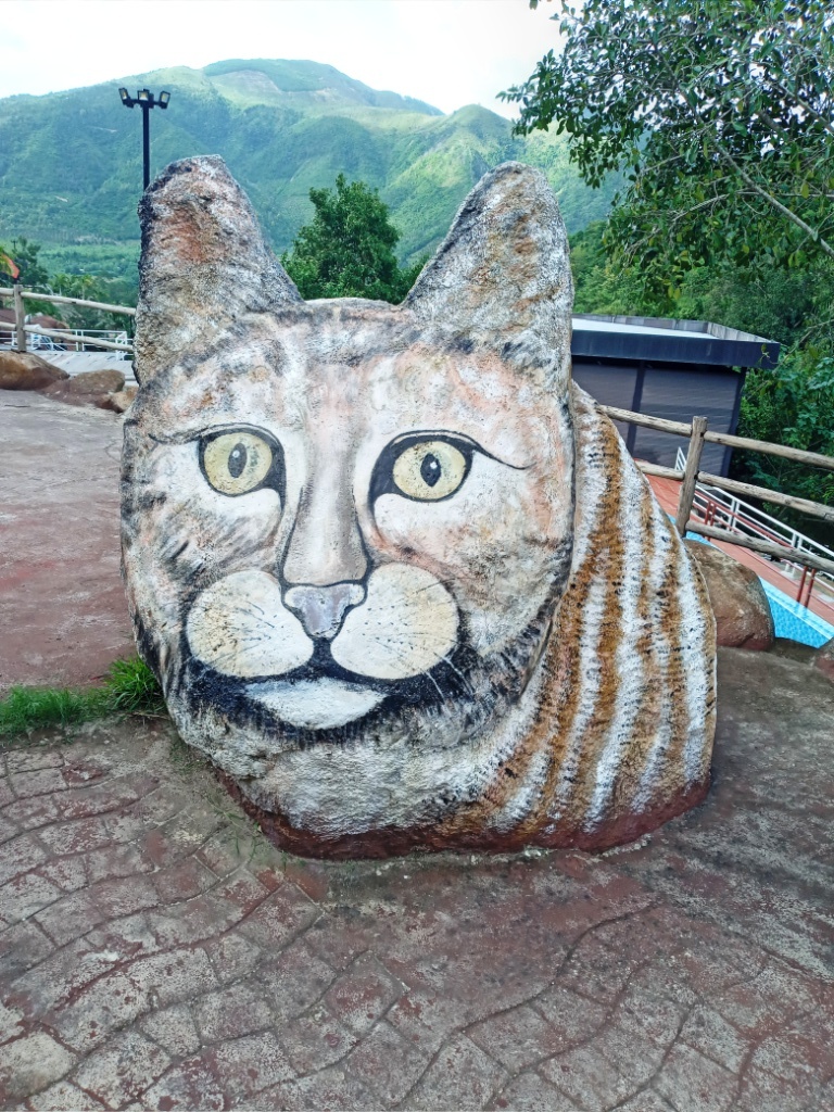 Да, это во Вьетнаме