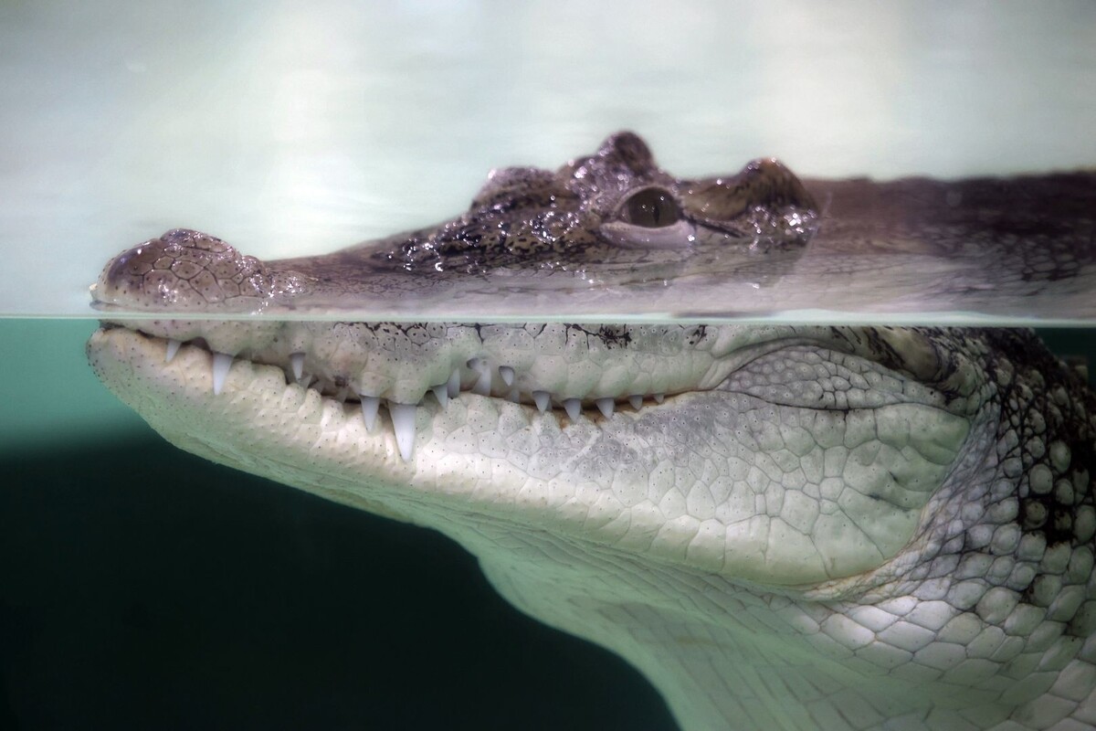     / Источник: © Vyacheslav Madiyevskyy/Global Look Press