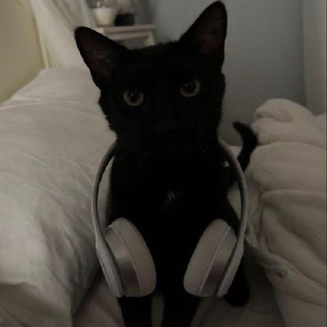 Вперёд и с песней!