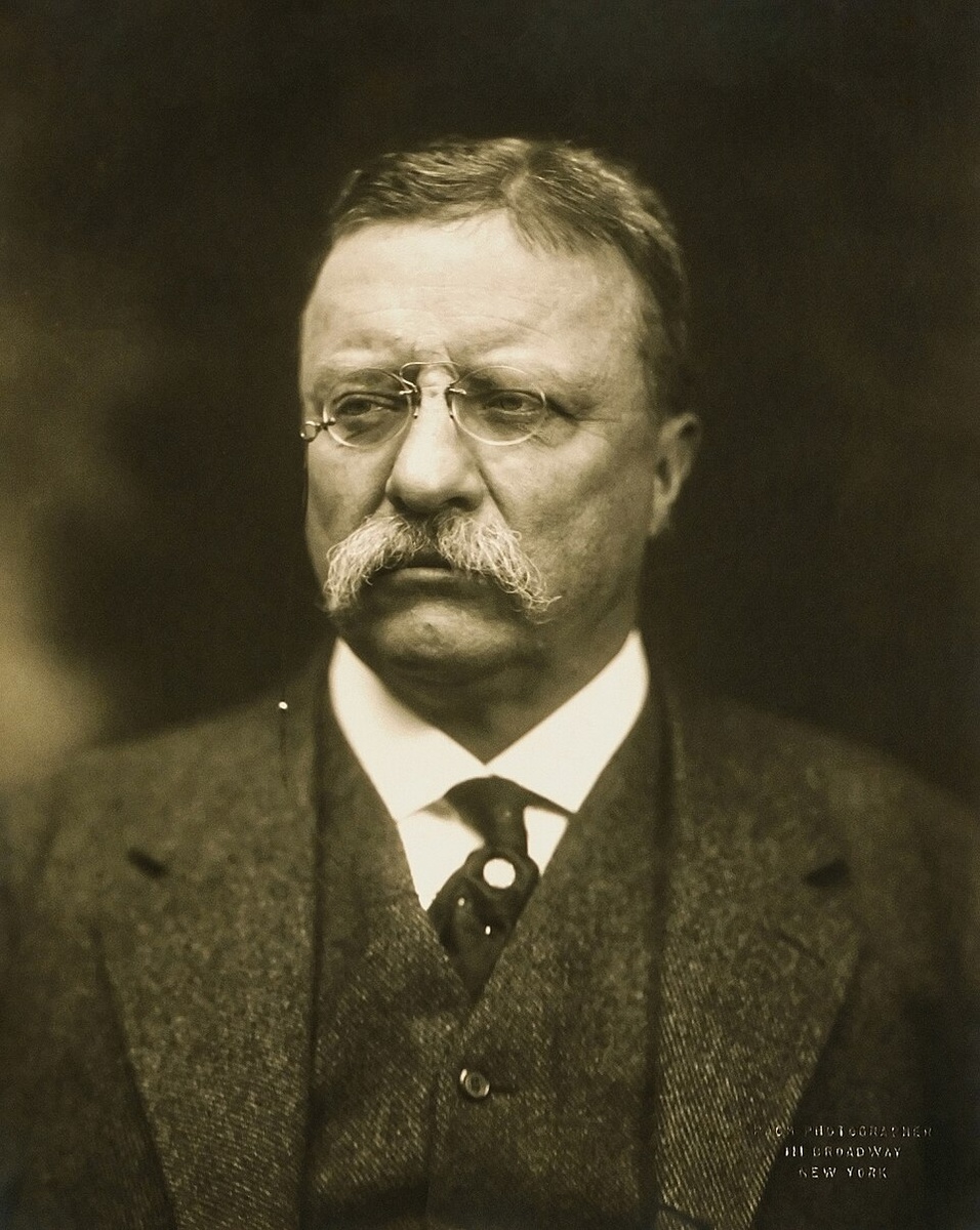 Теодор Рузвельт ( 1858-1919)  , 26 президент США (1901-1909)