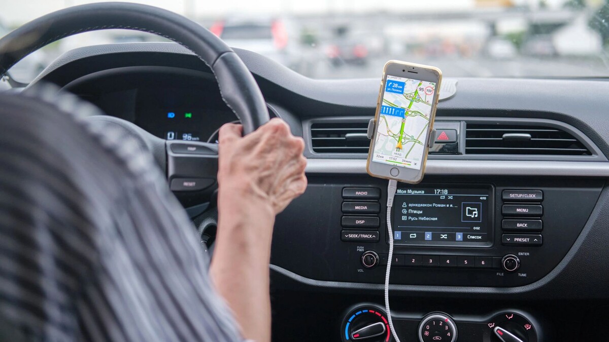    Фото: Zhuravlev Andrey / Shutterstock / Fotodom