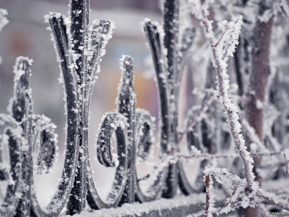 картинка из интернета