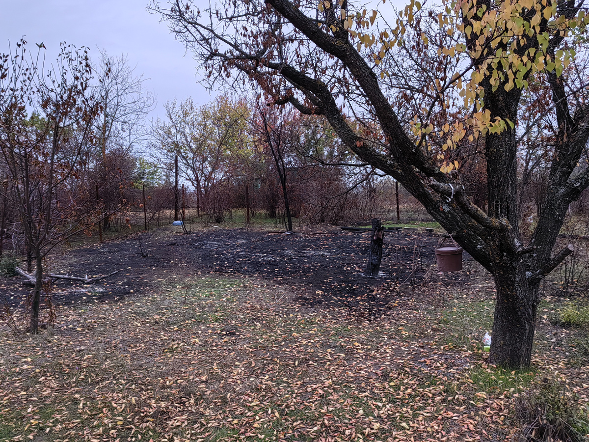 Сложно поверить, что на этом месте была большая куча веток.