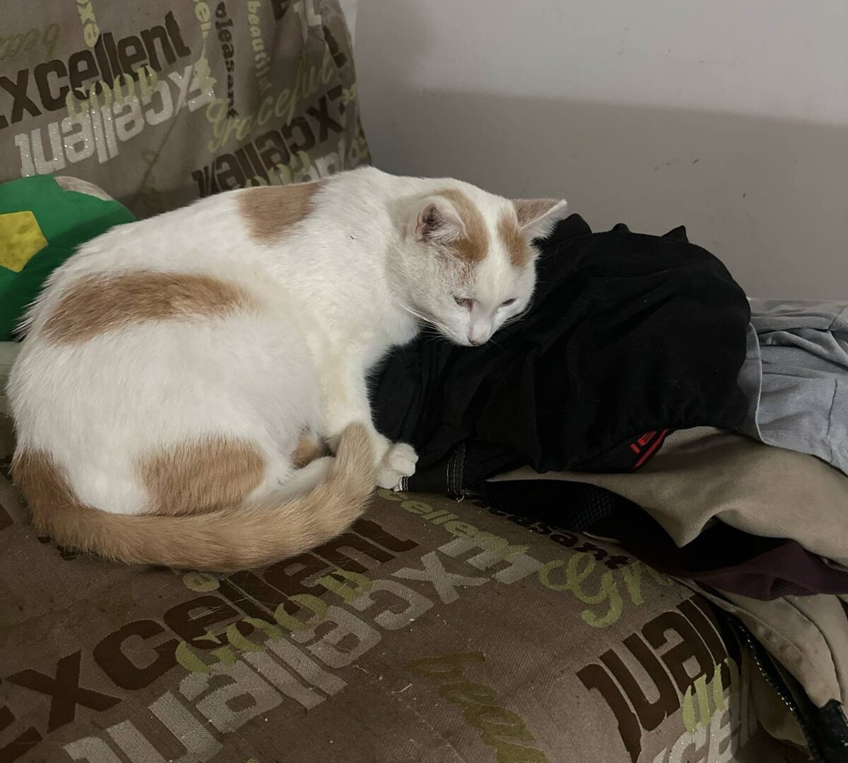 Грустный кот.. больно ему