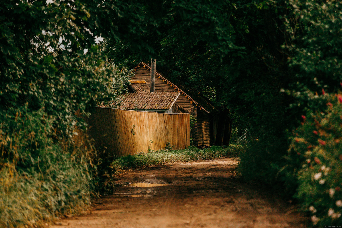 Фото: Анастасия Куртеева / ПАИ