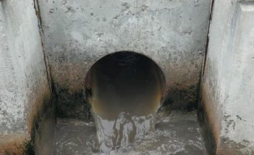    Фото: пресс-служба Росприроднадзора