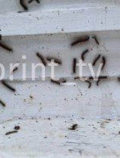   📷
