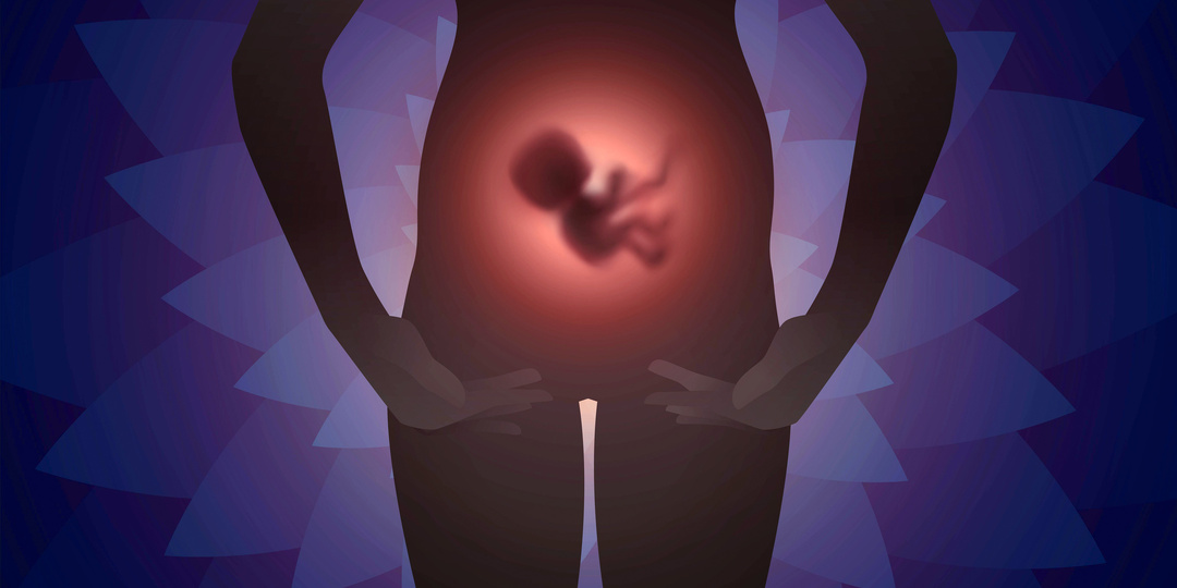 Он уже все слышит! Как развивается ребенок в животе матери?