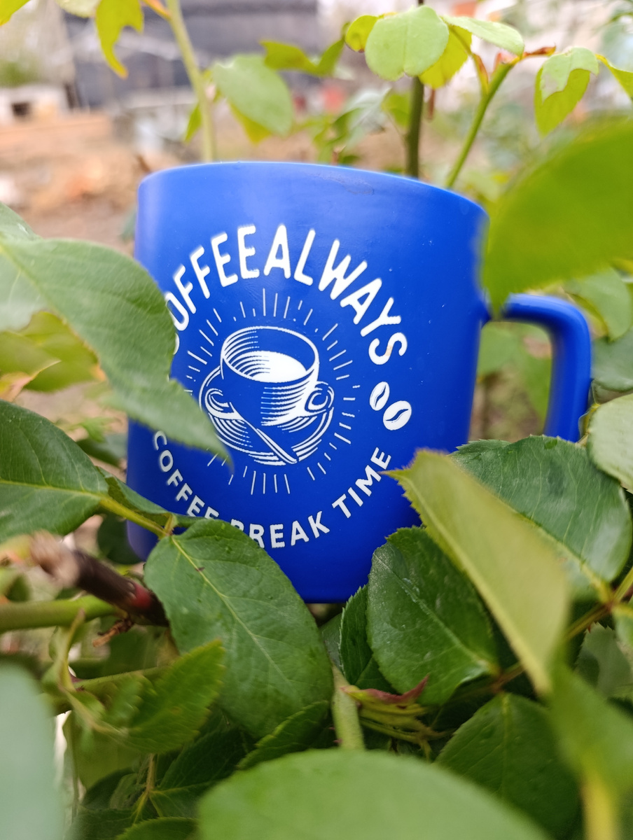 Чашечка кофе для розы. Фото автора.