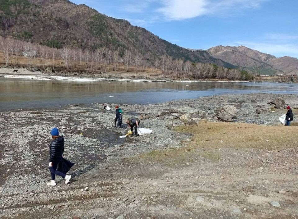    Очистка береговых линий в Республике Алтай. Источник: altai-republic.ru