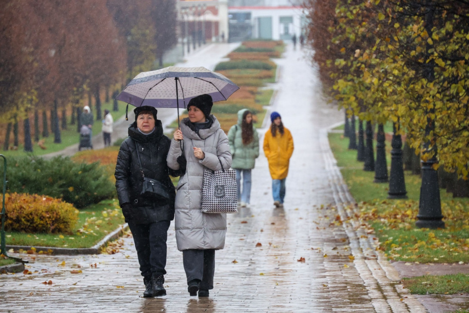    Алексей Белкин/NEWS.ru