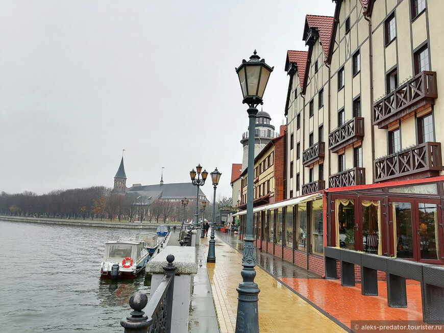 Яркие и сочные краски, моросящий дождь, спокойная река Преголя — приятный и запоминающийся тандем © Алексей А., aleks-predator.tourister.ru