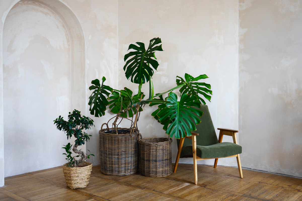 https://downloadscdn6.freepik.com/23/2149429/2149428027.jpg?filename=room-decor-with-potted-monstera-plant.jpg&token=exp=1761131476~hmac=fbcdd62368b49168b4f52c6e7c839964&filename=2149428027.jpg