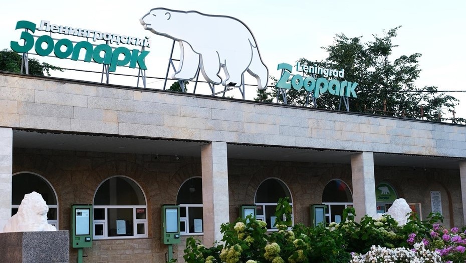    Зоопарк Автор фото: Мнацаканян Анжела