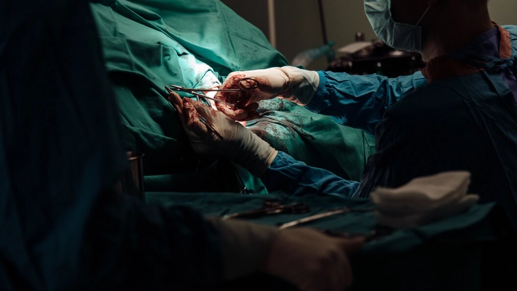    Фото: Niyaz Galiev /Globallookpress