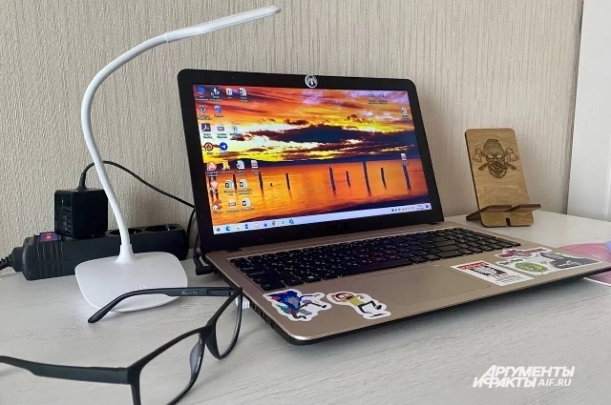    В мэрии планируют сэкономить бюджетные средства за счет удаленной работы