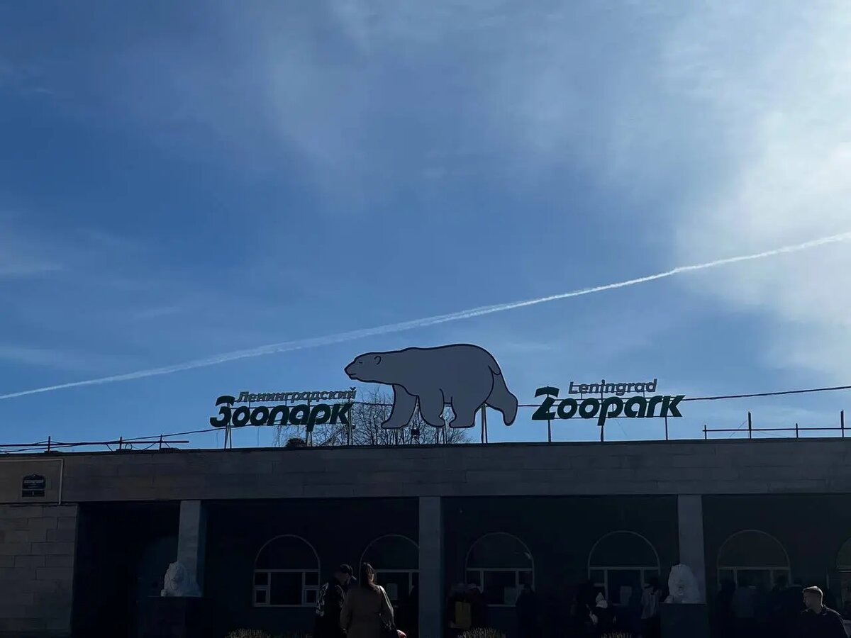    Фото: Мойка78