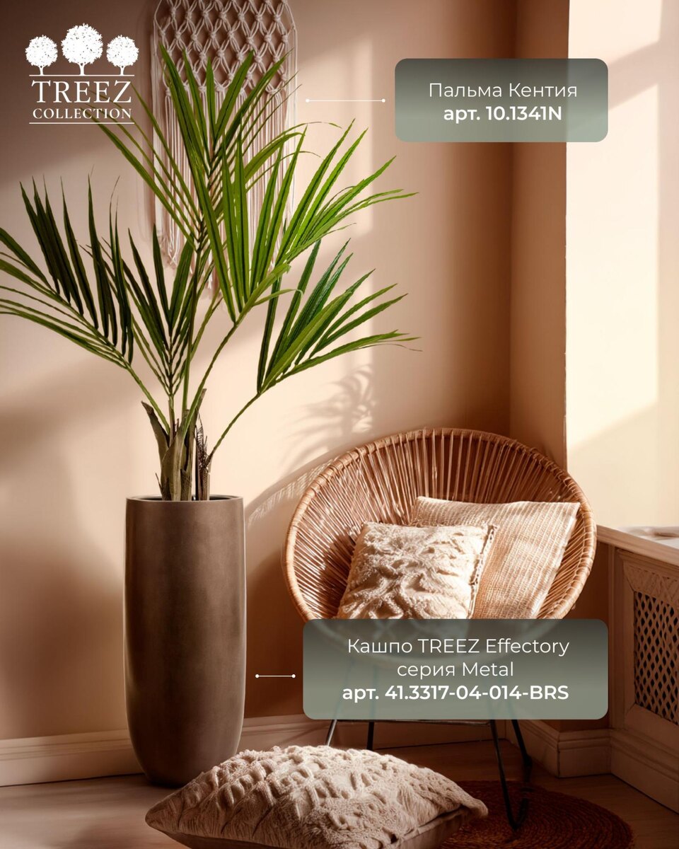 Кашпо и растения TREEZ Collection