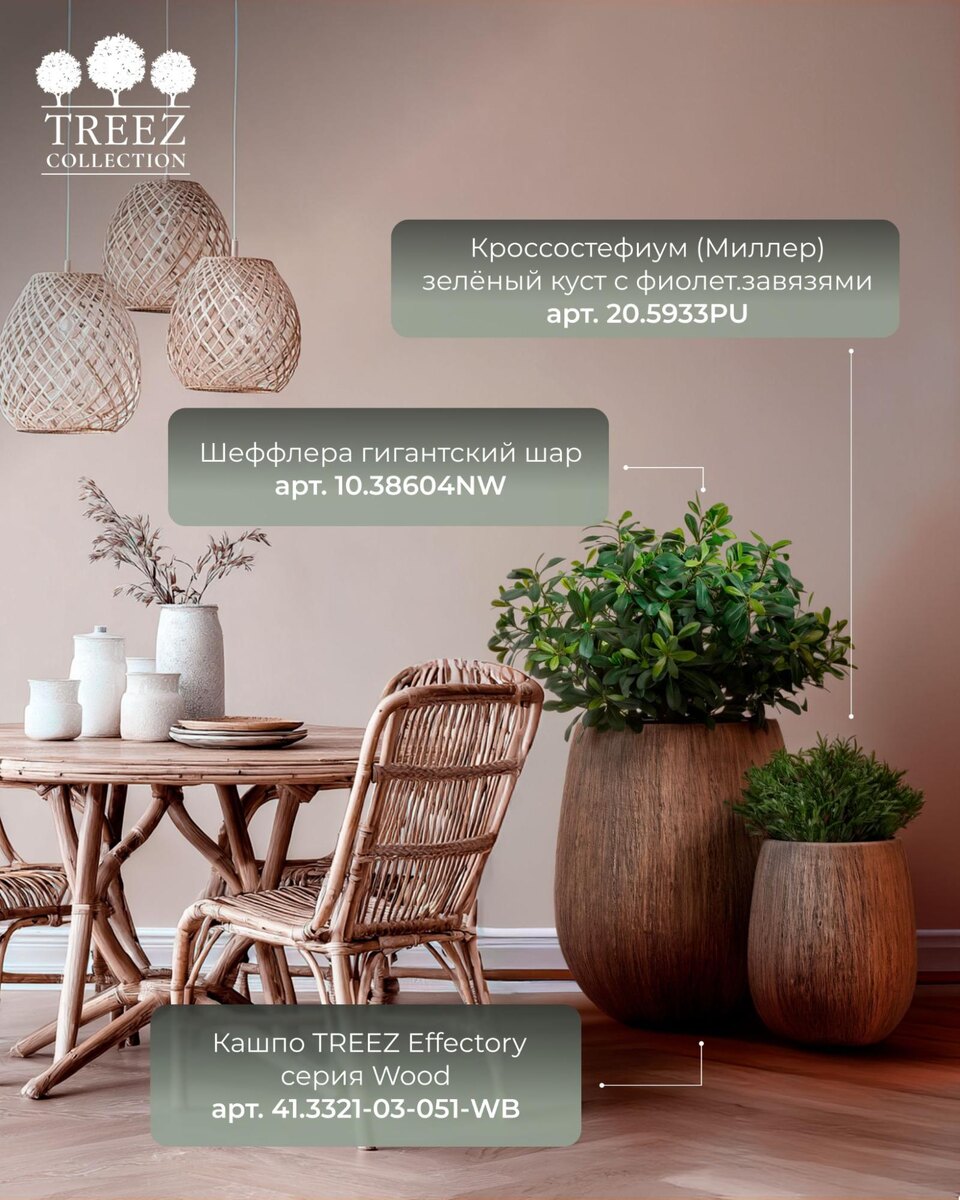 Кашпо и растения TREEZ Collection