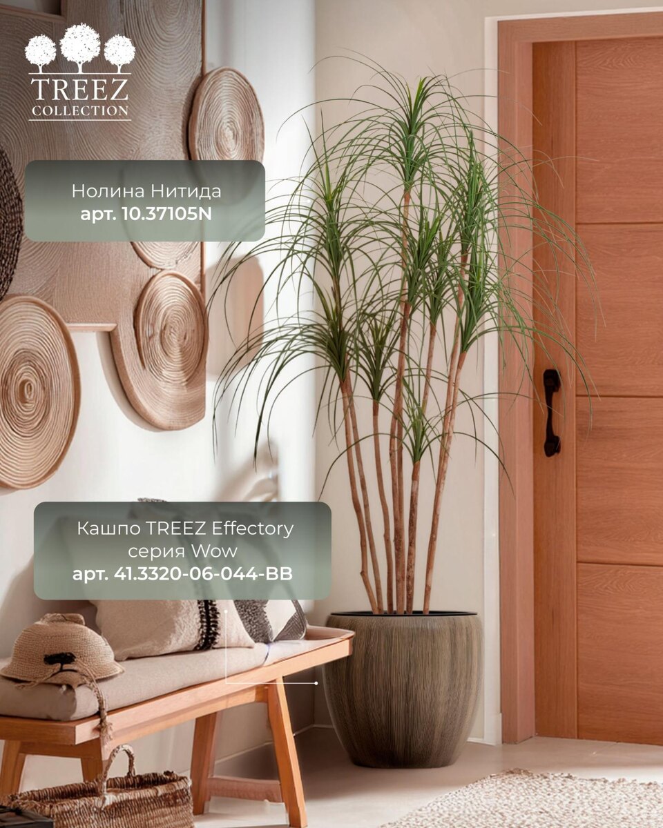 Кашпо и растения TREEZ Collection