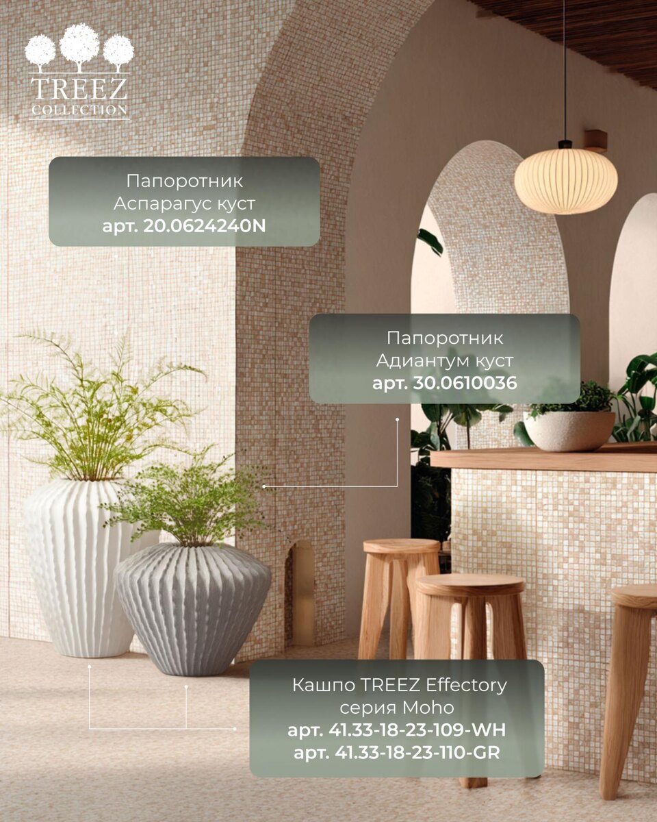 Кашпо и растения TREEZ Collection